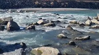 📍Live from the Rhine River 2. Tranquil Nature Stream | Жива трансляція з річки Рейн 