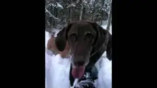 Snowshoeing At Campbell Airstrip.mov