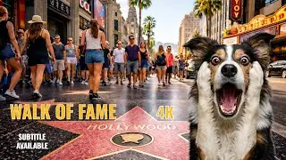 Hollywood Boulevard Walk &mdash; Walk of Fame in Real Life 4K | No Music, No Talking