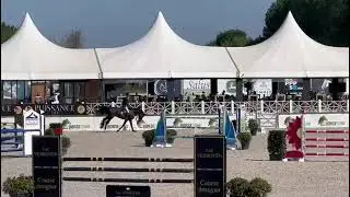 Pegase van't Ruytershof - Gold League Lier