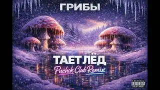 Грибы - Тает Лёд (Puchok Club Remix)