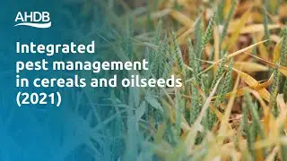 Integrated pest management (IPM) in UK crop production &ndash; Agronomists&rsquo; Conference 2021
