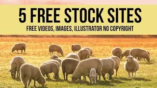 Top 5 Free Stock Sites | 5 Best Websites For No Copyright Images Videos and Illustrator Hindi