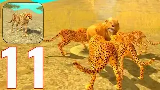 Wild Cheetah Sim 3D - Gameplay Walkthrough  Part 11 - Hunting Every Animal (iOS, Android)