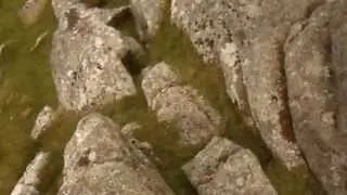 WIDGERY CROSS HD