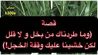 174- قصة (وما طردناك من بخل ومن قلل / لكن خشينا عليك وقفة الخجل!)💰