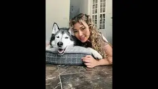 a song written for my fur babies