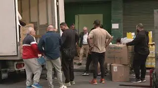 DANA: piden no retener en Algeciras los alimentos recogidos para Valencia