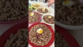 Stay home four-legged beast CHEF work #The daily life of a furry friend#Cute pet debut pla