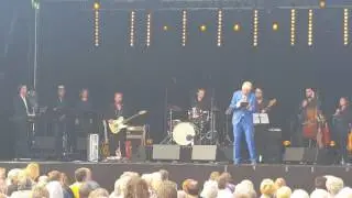 De Zaan -- Freek de Jonge