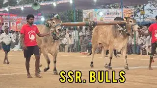 రెంటచింతల ఆరుపళ్ళు 13జత.SSR. Bulls శావల గోపికృష్ణ గారు. వేల్పూరు అచ్చంపేట మండలం