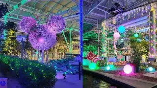 Жизнь с ночной праздничной иллюминацией аттракциона Land Ride в EPCOT в Disney World в 2025 году