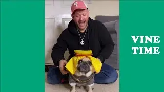 Best Tik Tok of Neil henry (W/Titles), Funny Neil henry Tik Toks  December  2020