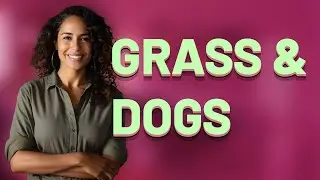 Can Eating Grass Cure Your Dog&rsquo;s Stomach Problems?