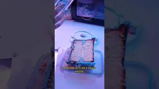 Así puedes mantener tu bizcocho fresco en la nevera 🤗