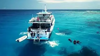 Great Barrier Reef Liveaboard Video Production