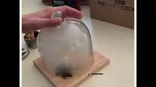 Make Craft Cocktails At Home With This Dome Smoked Cocktail Kit