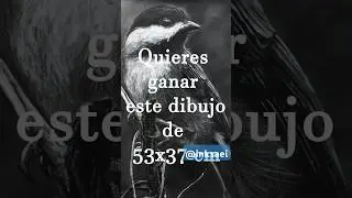 Sorteo dibujo #drawing #timelapse #sketch #art #realismo #birds