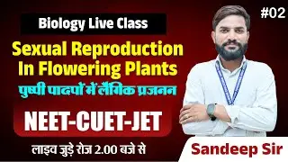Sexual Reproduction in Flowering Plants 🌸| NEET-CUET-JET 2025 | Biology Live Class | Sandeep Sir #2