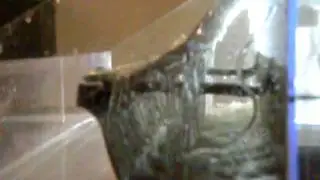 Leafsolution side view.mov