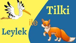 Turkish for BEGINNERS: Learn Turkish with Short Stories - Turkish Stories with English Translation