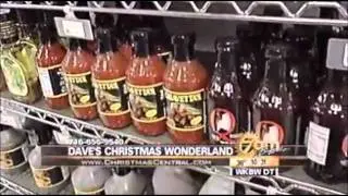 Daves's Christmas Wonderland & Christmascentral.com on Channel 7!