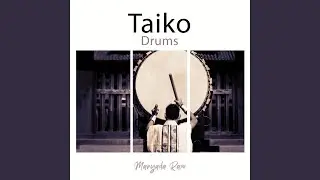 Japanese Taiko Drums