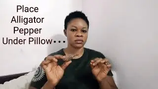 Use Alligator pepper this way every night and see what happens