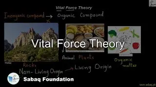 Vital Force Theory, Chemistry Lecture | Sabaq.pk