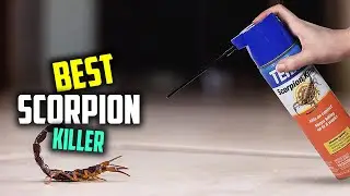 Top 5 Best Scorpion Killer [Review] - Multi Use Pest Control Insecticide Dust [2023]