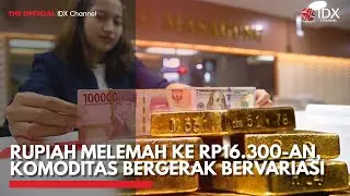 Rupiah Melemah ke Rp16.300-an, Komoditas Bergerak Bervariasi | 2ND SESSION CLOSING
