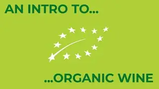 An Introduction to Organic Wine