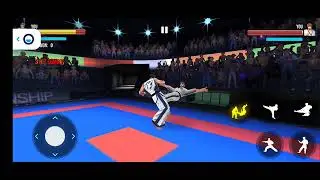 Karate fighter game 🎮
