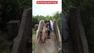Old farming technology #technology #mechanical #farming