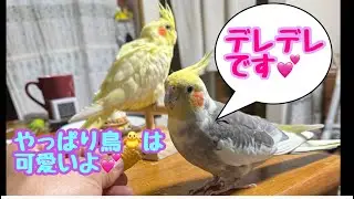 ここまでなってくれました😊💕