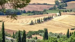 August 2021 Box Tasting | La Cabra Y El Monte & Vallechiusa Rosso