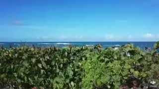 Drone view of Barbuda