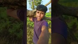 Special day ❌ Last day 😊,, #minivlog #villagelife #special #youtubeshorts #vlog