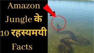 Amazing Facts About Amazon Forest, Rain Forest, Amazon Forest Fire In Hindi