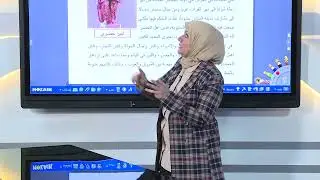 التاريخ الرابع ادبي - تدمر - الحضر