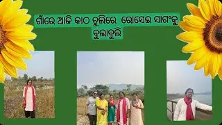ଗାଁରେ ଆଜି କାଠ ଚୁଲିରେ  ରୋସେଇ ସାଗଂକୁ ବୁଲାବୁଲି  🌿❤️😁