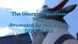THE FULL GEORGIA AQUARIUM TOUR!