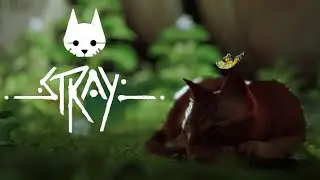 Stray прохождение #3
