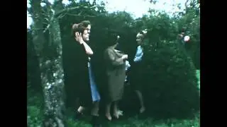 Arbre de Corinne Nov  1966