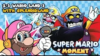 Wario Land 3 &mdash; это симулятор унижения? | Моменты из Super Mario 1-3 со Splendidland