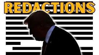 The Epstein Files & the DNC Election Autopsy: A Tale of Two Redactions