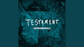 Flu Season (Instrumental)