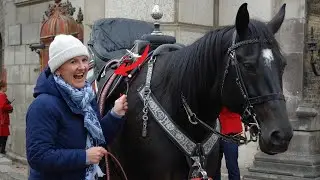 Shocking Moment Royal Guard Horse DRAGS WOMAN OFF FEET! | Horse Guards, Royal guard, King&rsquo;s Guard