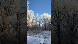 Last Week #offgrid #homestead #canada #winter #pasta #nature #youtubeshorts #fyp