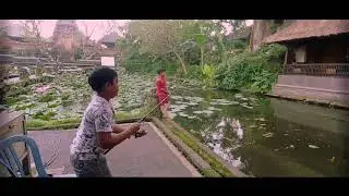 Keliling Ubud Bali dengan tansportasi umum baru!